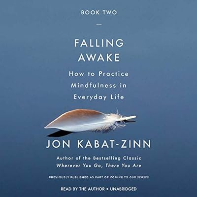 Falling Awake: How to Practice Mindfulness in Everyday Life