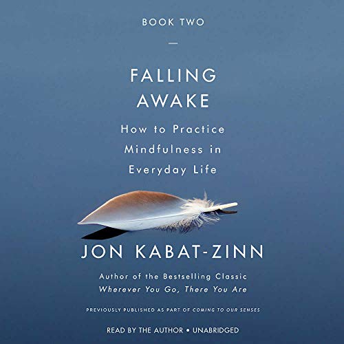 Falling Awake: How to Practice Mindfulness in Everyday Life by Jon Kabat-Zinn