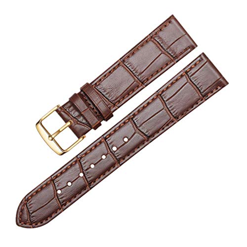 Algopix Similar Product 19 - 