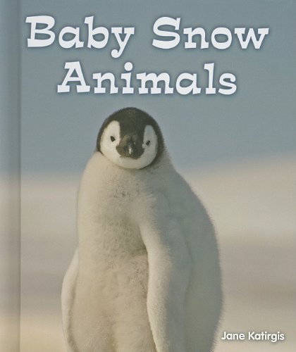 Baby Snow Animals by Jane Katirgis