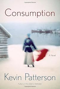 Consumption: A novel