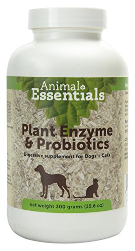 Animal Essentials Plant Enzymes & Probiotics