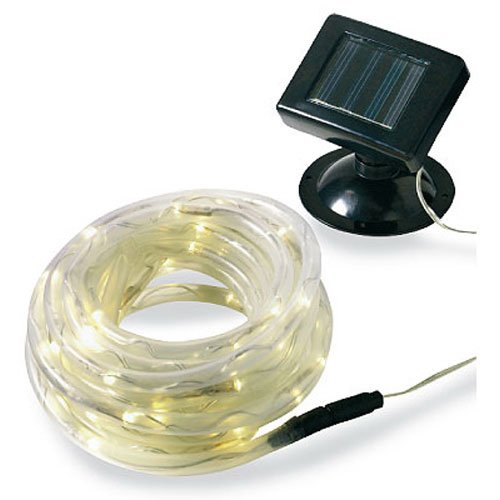 Algopix Similar Product 2 - Promier Products IC650ROP12 50 LED