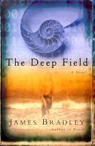 The Deep Field: A Novel