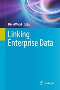 Linking Enterprise Data by David Wood (Ed.)