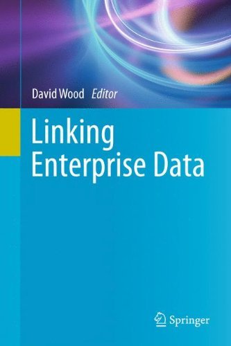 Linking Enterprise Data by David Wood (Ed.)