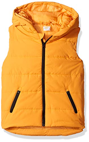 Algopix Similar Product 8 - Crazy 8 Boys Big Hooded Vest
