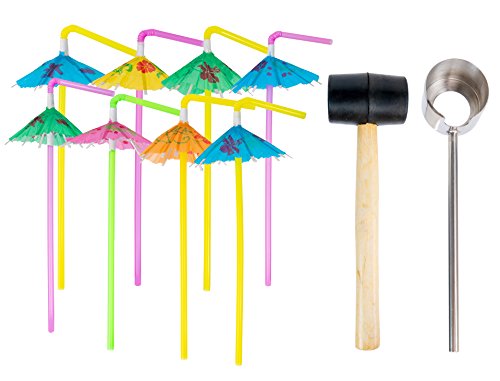 Algopix Similar Product 17 - Coconut Opener Tool Set with Hammer 