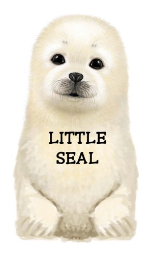 Little Seal by Giovanni Caviezel