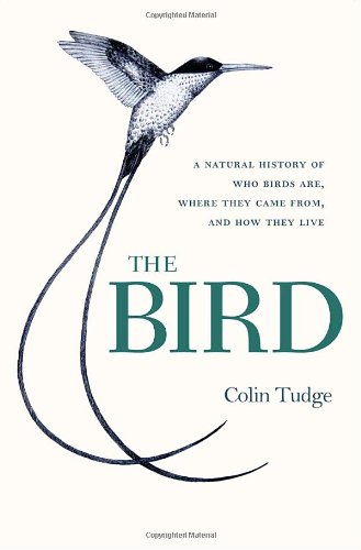 The Bird: A Natural History of Who Birds Are, Where They Came From, and How They Live by Colin Tudge