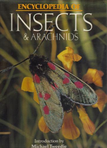 Encyclopedia of insects & arachnids by Maurice Burton