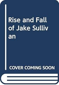 Rise and Fall of Jake Sullivan
