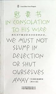 In Consolation to His Wife