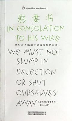 In Consolation to His Wife