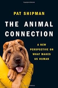 The animal connection