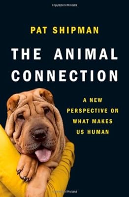 The animal connection