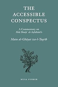 The Accessible Conspectus by Musa Furber