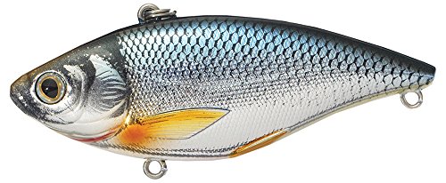 Live Target 2 7/8 inch Golden Shiner Lure