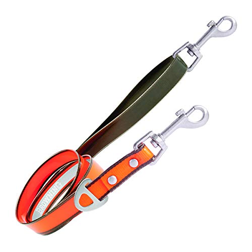 Algopix Similar Product 4 - 