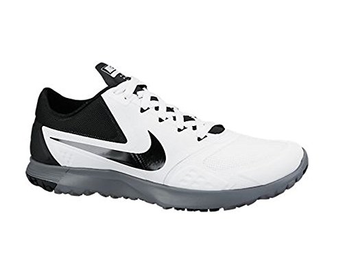 Nike Men's FS Lite Trainer II Cross Trainer