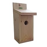 Blue Bird Outdoor Bird House Kit