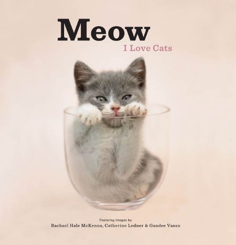 Meow: I Love Cats by Rachael Hale McKenna