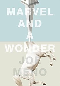 Marvel and a Wonder by Joe Meno