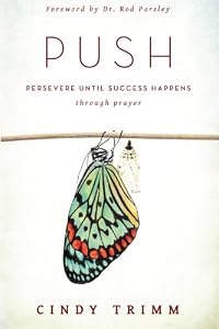 PUSH: Persevere Until Success Happens Through Prayer