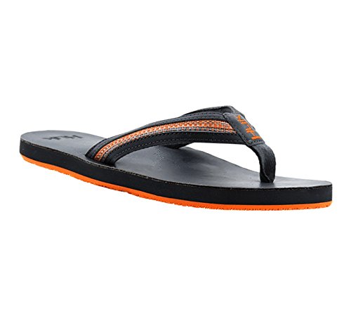 Algopix Similar Product 1 - 