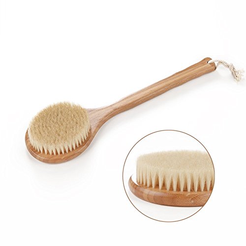HOMEIDEAS Wooden Handle Bristle Bath Brush for Dry Skin and Body Brushing - Long, Wooden Handle, Natural Boar Bristles, Bamboo Body Spa Brush - Dry Body Brush for Cellulite, Exfoliation
