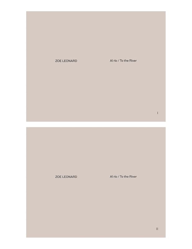 Zoe Leonard: Al río / To the River by Tim Johnson
