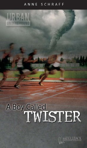 A Boy Called Twister by Anne Schraff