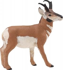 Amazon.com: Safari Ltd. Pronghorn Buck: Toys & Games
