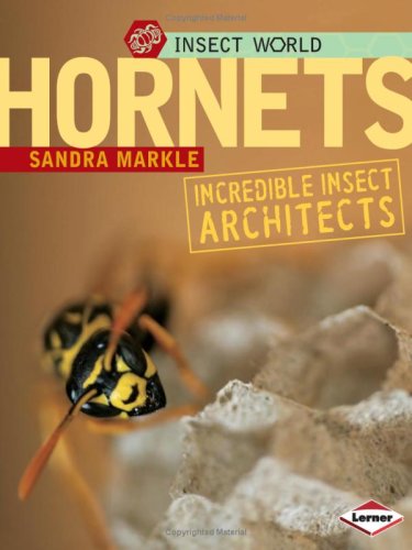 Hornets: Incredible Insect Architects (Insect World) by Sandra Markle