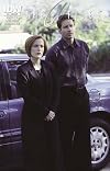 The X-Files: Season 10 #16 - Immaculate, Part 1