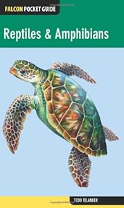 Falcon Pocket Guide: Reptiles &amp; Amphibians by Todd Telander