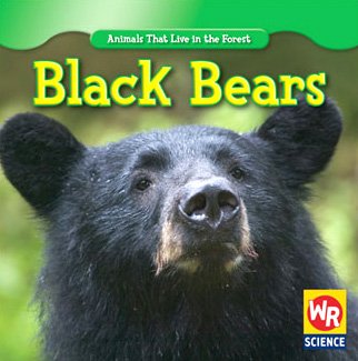 Black Bears by JoAnn Early Macken