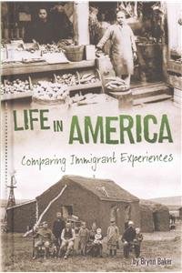 Life in America: Comparing Immigrant Experiences