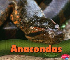 Anacondas by Melissa Higgins