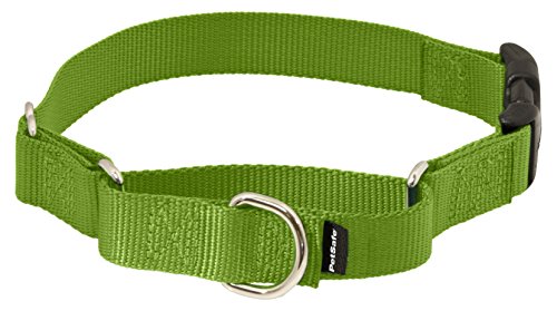 PetSafe Small Martingale Collar with Quick Snap Buckle, 3/4