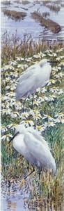 Shorelines: Birds at the water's edge