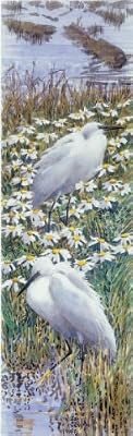Shorelines: Birds at the water's edge