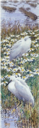 Shorelines: Birds at the water's edge by Michael Warren
