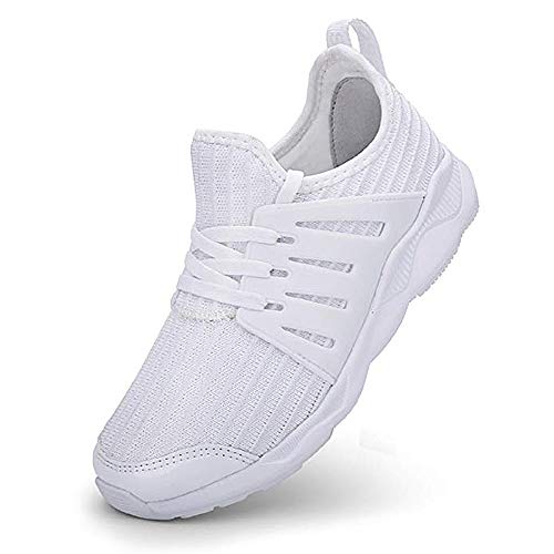 Algopix Similar Product 9 - 