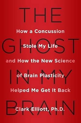 The Ghost in My Brain: How a Concussion Stole My Life and How the New Science of Brain Plasticity Helped Me Get it Back