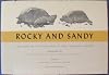 Rocky and Sandy: The Story of Two Tortoises on the California Desert