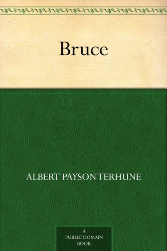 Bruce by Albert Payson Terhune
