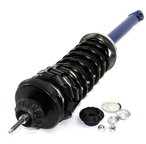 

Dura International 27210170 Rear Complete Strut Assembly