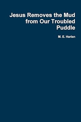Jesus Removes the Mud from Our Troubled Puddle