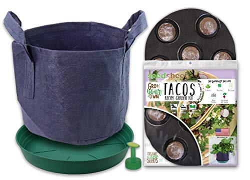 Algopix Similar Product 11 - Seedsheet Grow Your Own Tacos Container